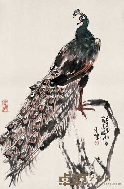 孙其峰 辛酉（1981）年作 孔雀图 镜心 68.5×45cm